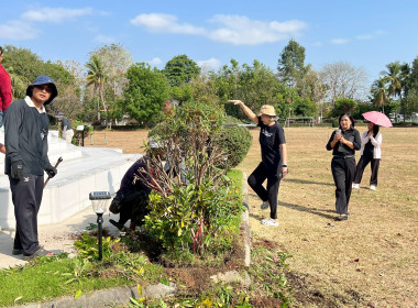 Big Cleaning Day พารามิเตอร์รูปภาพ 22